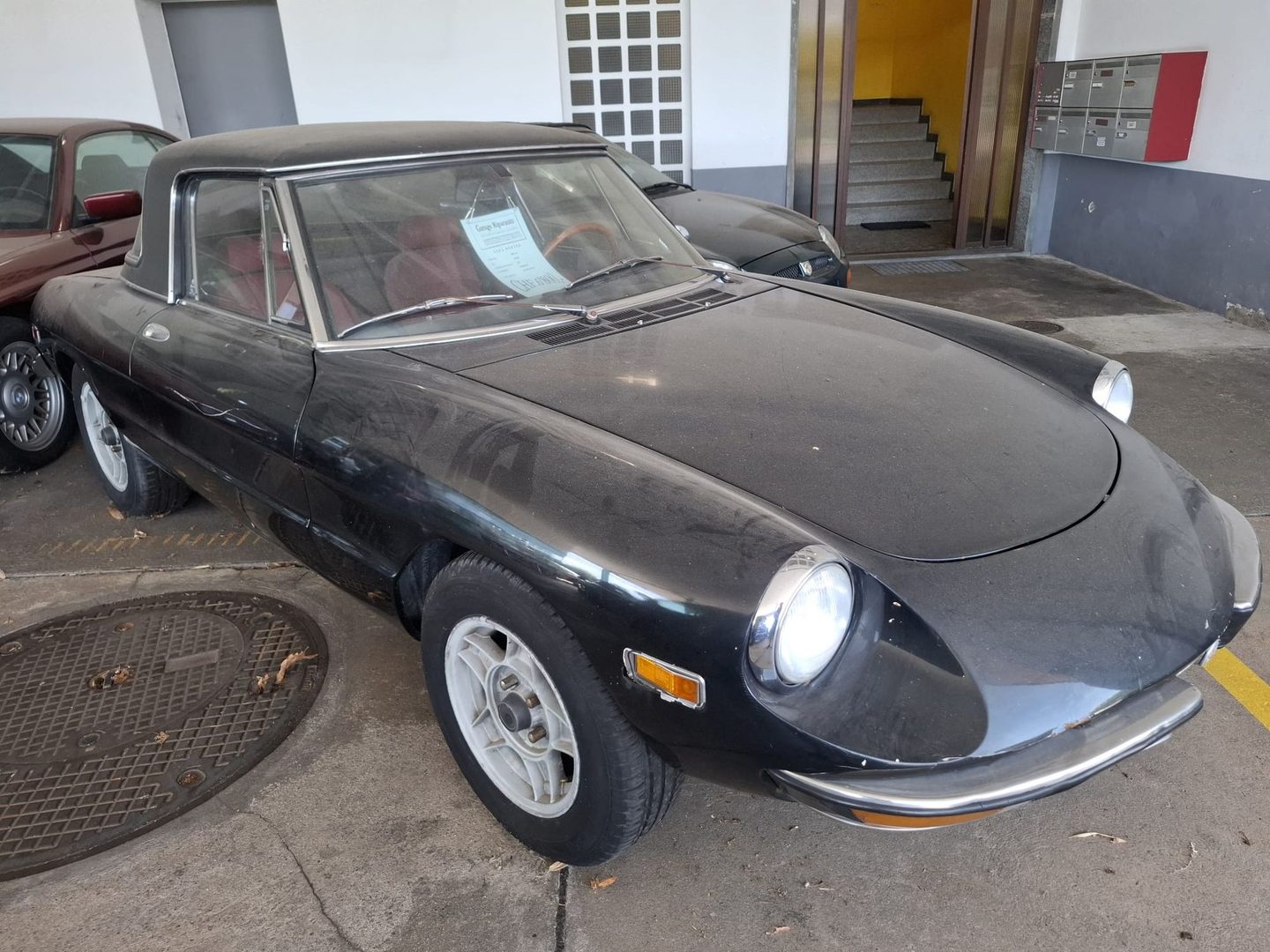 Alfa Romeo Duetto